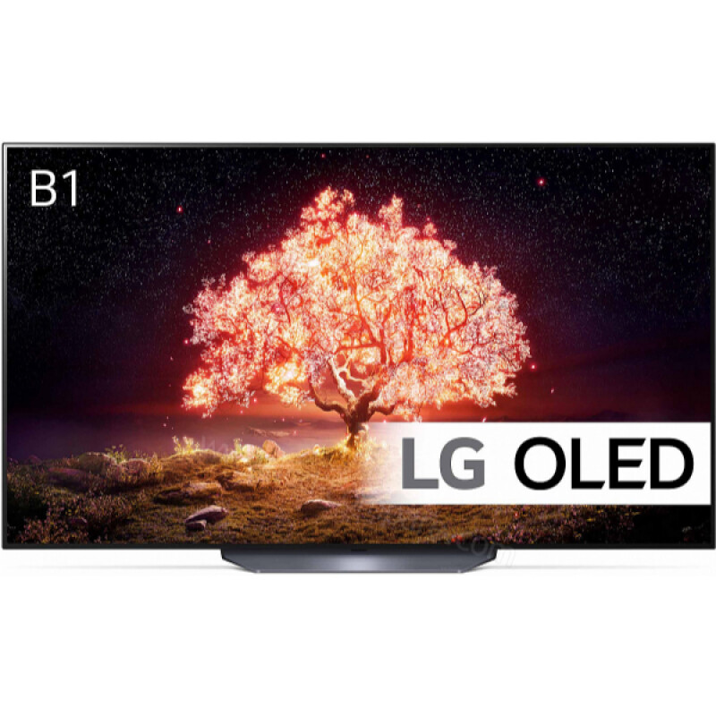 Téléviseur LG OLED TV 4K 65" OLED65B1