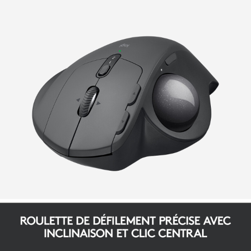 Logitech MX Ergo